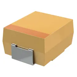 TPSV107K025R0100